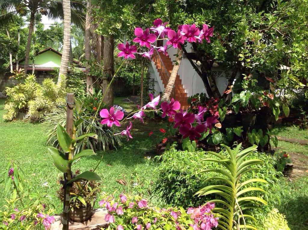 Tranquil Private Villa Near Bentota Beach Dış mekan fotoğraf